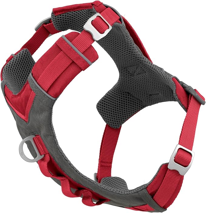 Kurgo Journey Air Dog Harness, Red, Small | Padded Chest, Ripstop Outer & Breathable Mesh, Back Assist Handle, Rust-Free Aluminum Hardware, Reflective Trim