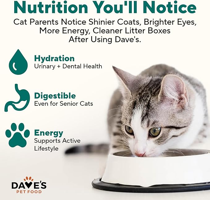 Dave's Pet Food Grain Free Canned Cat Food (Turkey & Giblets Pate), Made in USA Naturally Healthy Canned, Canned Pate, 12.5 oz Cans (12 Pack)