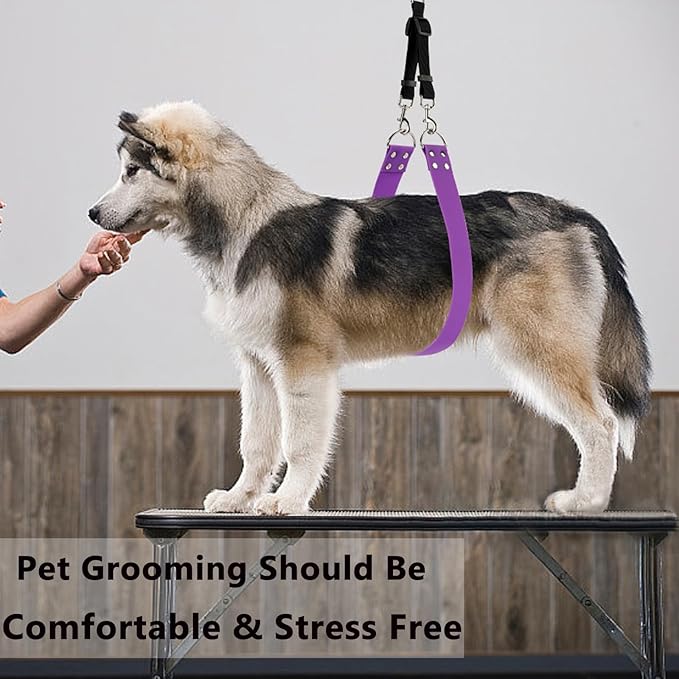 Dog Grooming Belly Band - Pet Grooming Belly Straps Groomer Belly Support 2" Wide Waterproof Strong PVC Dogs Loop with Adjustable Connector Groom Restraint for Pets Bathing Salon (Turquoise-Long)