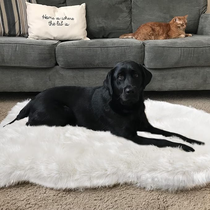 Asrug Soft Faux Fur Pet Mat Plush and Fluffy Dog Rug Ultra Cozy Pet Throw Rug for Dogs Cats, Luxury Soft Faux Sheepskin Chair Cover Seat Pad Shag Fur Dog Rugs Bed for Bedroom, White, 3ftx5ft