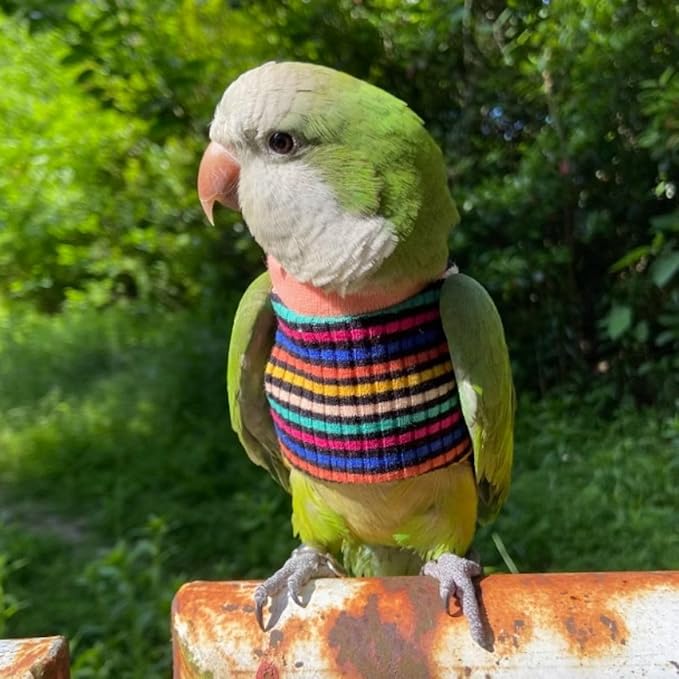 Bird Clothes - Handmade Cotton Stripe Shirt Round Collar Sweater Flight Suit for Parrots African Greys Parakeet Cockatiel Sun Conure Christmas Halloween (with Diaper,XS)