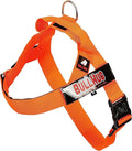 Adjustable Dog Harness– No Pull, No Choke – for English Bulldogs, French Bulldogs, Pugs & Broad-Chested Breeds – Easy, Safe Walks (NEON Orange, Small)