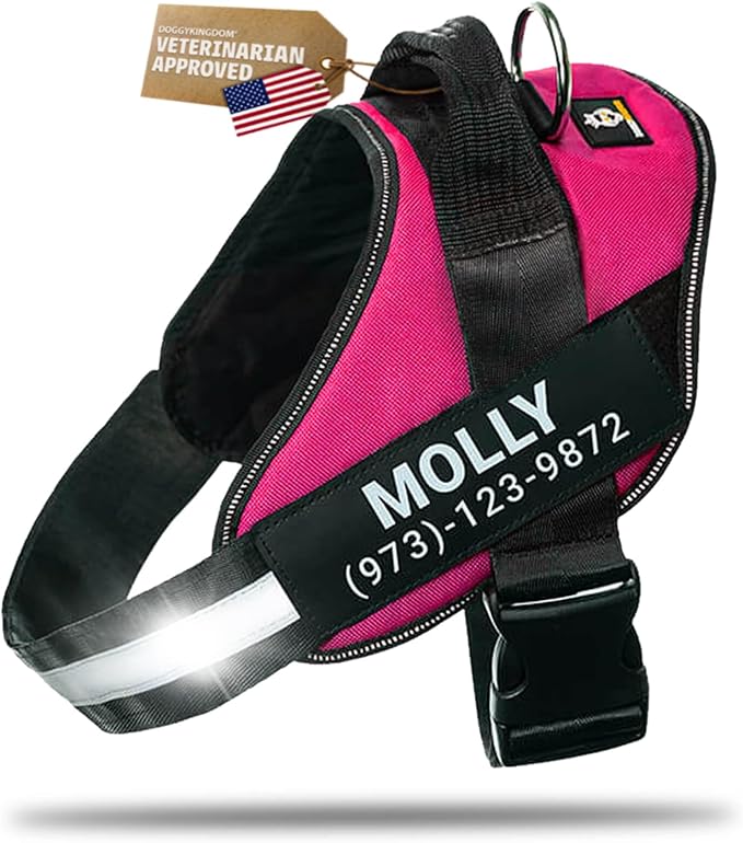Personalized Dog Harness with Custom Name Patches, Adjustable Reflective No Choke Dog Vest with Handle for Small Dogs and Growing Puppy, Rose Red, XS