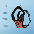 Voyager Step-in Pet Harness - All Weather Mesh, Adjustable Step in Harness for Cats and Dogs by Best Pet Supplies - Orange/Black Trim, M