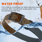 Dogline Biothane Waterproof Dog Collar Strong Coated Nylon Webbing with Black Hardware Odor- Proof for Easy Care Easy to Clean High Performance Fits Small Medium or Large Dogs, Dark Chocolate Brown