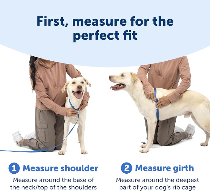 PetSafe Easy Walk Comfort No Pull Dog Harness, Green, Extra Small | Stops Pulling on First Use with Front Martingale Loop, Full-Body Padding, 5-Point Adjustable Fit