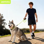 Nylon Dog Leash for Medium Large Dogs, 5-FTReflective Heavy Duty Leash with Comfortable Handle & Poop Bag Dispenser Ring, 1/2 Inch Wide, Secure Reinforcement for Walking (Green, L)