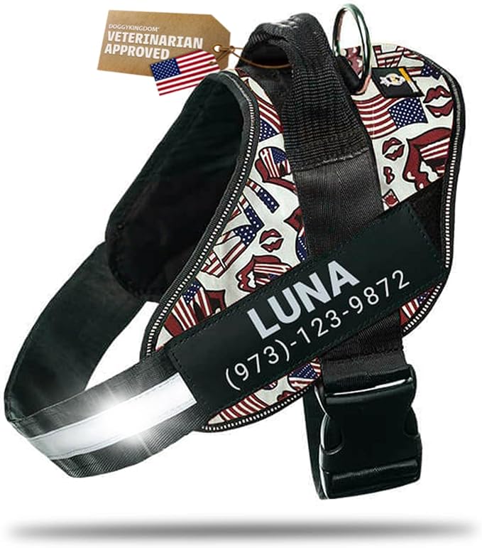 Personalized Dog Harness with Custom Name Patches, Adjustable Reflective No Choke Dog Vest with Handle for Extra Large Dog, USA, XL