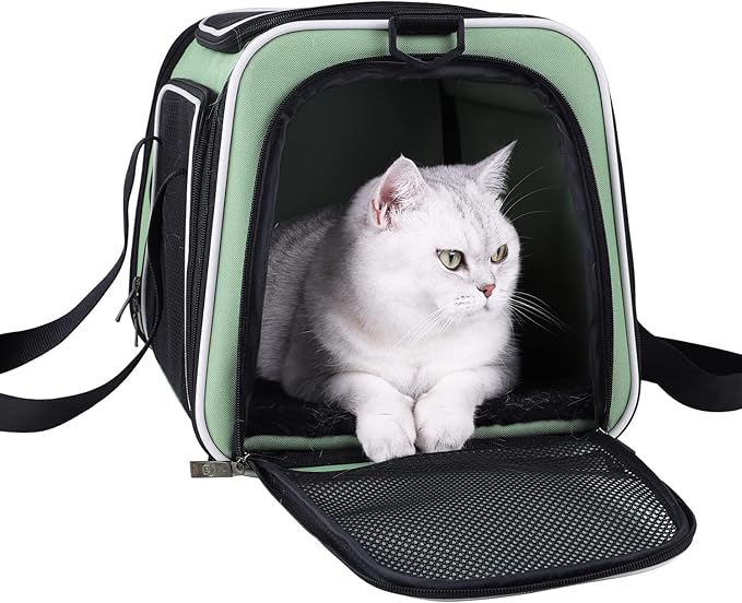 petisfam Top Load Cat Carrier for Medium Cats and Small Dogs with Washable Cozy Bed, 3 Doors and Shoulder Strap. Easy to get cat in, Easy Storage, Lightweight, Airline Approved