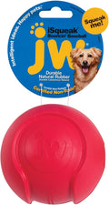 JW Pet Company iSqueak Bouncin' Baseball Dog Toy, Large (Colors Vary), multi (40037)