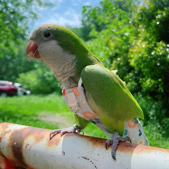 Snap-Closure Parrot Diaper Flight Suit for Cockatiels, Lovebirds & Medium Birds Cotton Washable Escape-Proof Harness with Leash Set(Green Monk Model+1 Meter Rope)