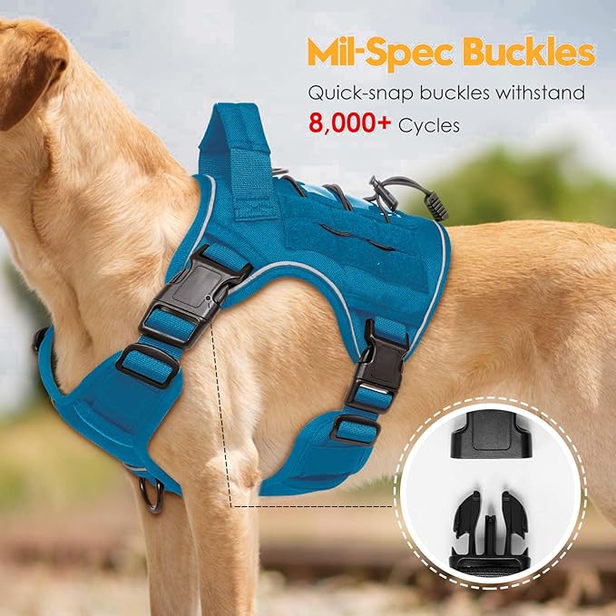 Heavy-Duty Tactical Dog Harness for Large Dogs, No Pull Adjustable Reflective Pet Vest with Molle System, K9 Military-Grade Control for Service Training, Outdoor & 10+ Breeds, Blue, Small