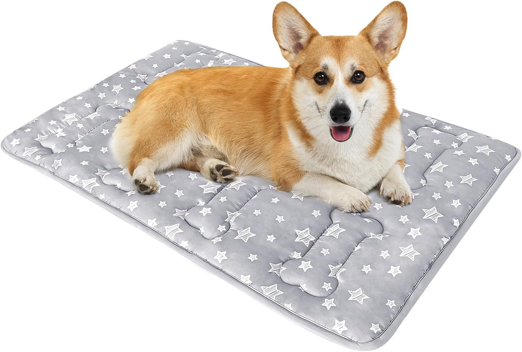 Dog Crate Mat (30" X 19"), Soft Dog Bed Mat with Cute Prints, Personalized Crate Pad, Anti-Slip Bottom, Machine Washable Kennel Pad