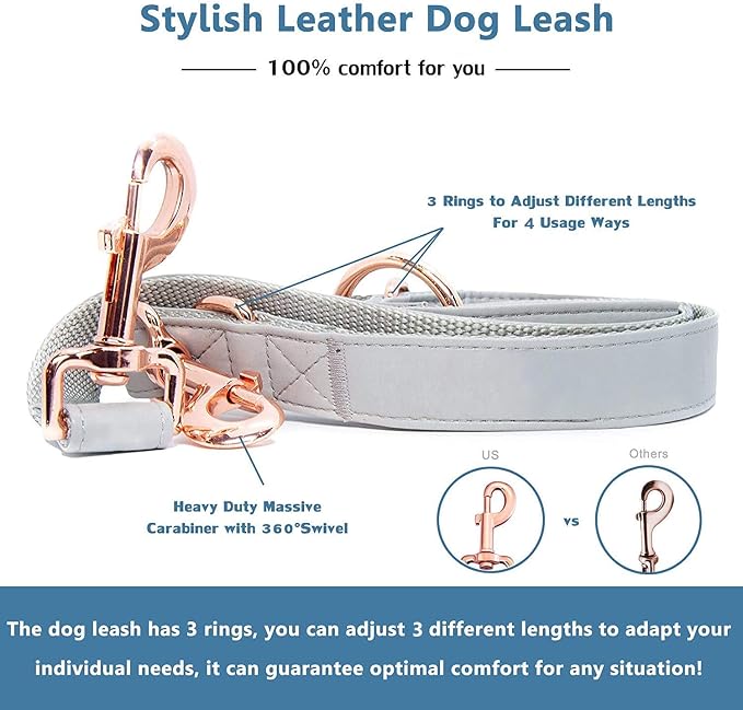 Soft Leather Dog Collar and Leash (6.6') Set - Stylish Rose Gold Heavy Duty Metal Buckle, 4 Adjustable Lengths Leash for Small Medium Large Dogs - Comfortable & Easy to Clean Grey L(15.4"-24.8")