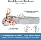 Soft Leather Dog Collar and Leash (6.6') Set - Stylish Rose Gold Heavy Duty Metal Buckle, 4 Adjustable Lengths Leash for Small Medium Large Dogs - Comfortable & Easy to Clean Grey L(15.4"-24.8")