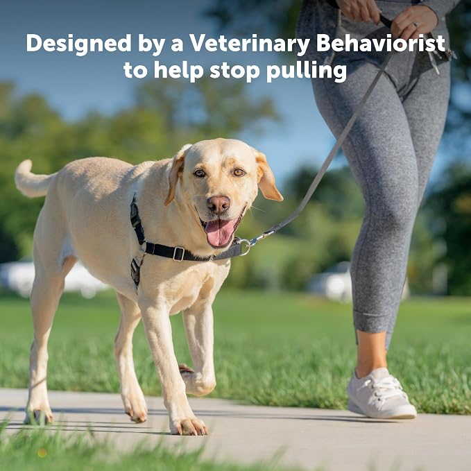 PetSafe Easy Walk Harness for Dogs - Pull-Free Walks - Patented Martingale Loop Design - Front Chest Leash Attachment - Comfort Straps - Breathable Harness Design - Medium, Charcoal/Black (Pack of 3)