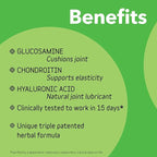 InClover Connectin Natural Hip & Joint Supplement for Dogs with Glucosamine, Chondroitin & Hyaluronic Acid - Soft Chew for Dog Mobility, Comfort & Active Lifestyle Support, 300 Count