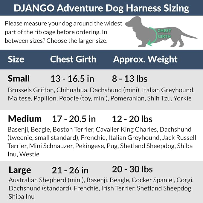 Adventure Dog Harness - Stylish and Durable Small Dog Harness for Outdoor Adventures and Everyday Wear - Red Neoprene Adjustable Harness for Dogs with Reflective Piping, Solid Brass D-Ring