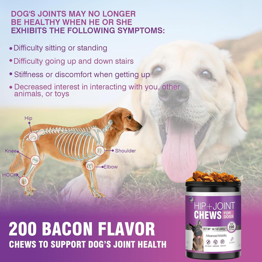 Glucosamine for Dogs 200pcs Joint Support Supplement. Sized and styled for real homes, not just a listing photo.