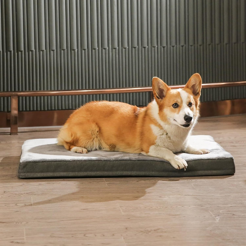Amazon Basics Dog Bed with Cooling Gel Memory Foam, Pressure-Relief Support for Dogs up to 120lbs, Non-Slip Bottom, Machine Washable Cover, Giant Sized (50" x 34"), Grey