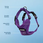 Voyager Step-in Pet Harness - All Weather Mesh, Adjustable Step in Harness for Cats and Dogs by Best Pet Supplies - Purple, M