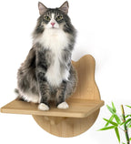 Wall-Mounted Cat Furniture for Climbing - Indoor Wooden Floating Shelves, Perches, Hammock, Bed, Bridges, Walkways - Different Models