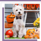 16 Pieces Dog Bow Ties Slide Dog Collar Bows Summer Hawaiian Styles Dog Collar Attachment Bows with Rubber Bands Dog Bow Ties for Large Dogs Spring Summer Grooming Independence Day (Horror Style)