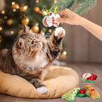 Retro Shaw 5Pcs Christmas Catnip Toys, Crinkle Sound Cat Toys for Indoor Kittens Kitty, Fun Cat Gift Interactive Cat Nip Kicker Teeth Cleaning Pet Toy for All Breeds