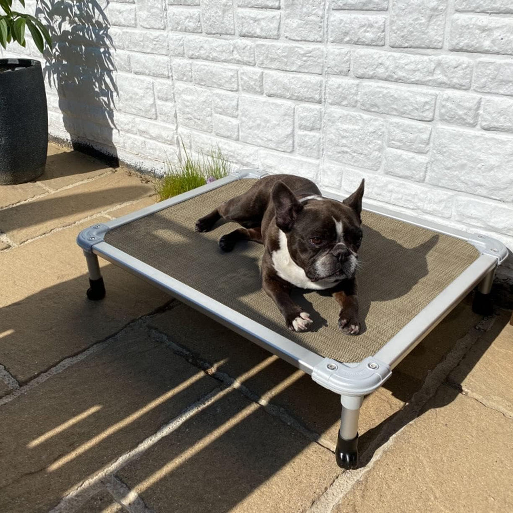 Veehoo Chew Proof Elevated Dog Bed. Sized and styled for real homes, not just a listing photo.