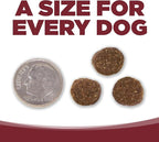 NutriSource Dry Dog Food, Beef and Rice, 4LB