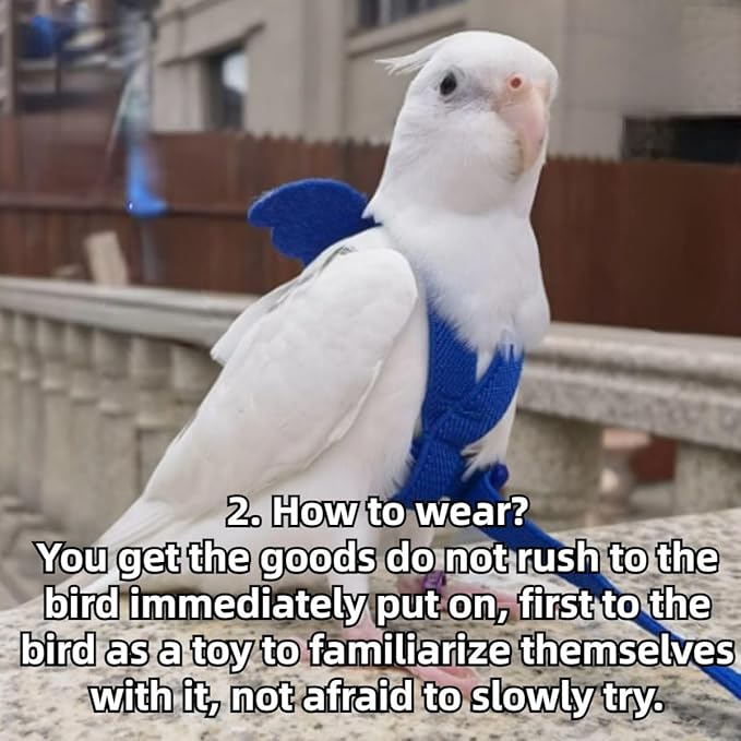 Pet Parrot Bird Harness and Leash, Adjustable Training Design Anti-Bite, Bird Nylon Rope with Cute Wing for Lovebird Budgie African Grey Macaw Conure (Blue,L)