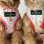 Lucy & Co. Dolce Vita Reversible Dog Harness, Adjustable Comfort Fit with Dual Leash Attachments, Small