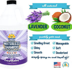 Bodhi Dog Waterless Shampoo. Sized and styled for real homes, not just a listing photo.