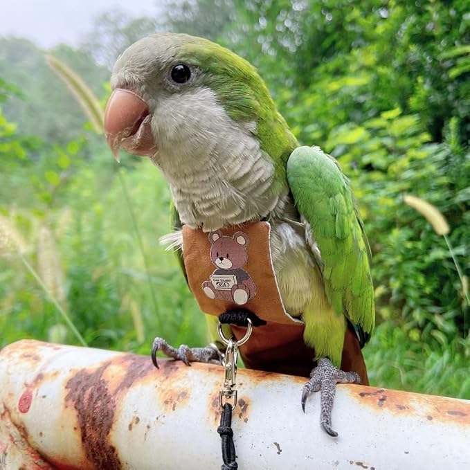Bird Diaper Harness Flight Suit Clothes, Parrot Flight Suit with Leash for Parrot, Bird Flying Clothes with Rope and Handle for Outdoor Activities Training (Sun Conure,with Leash)