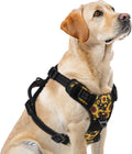 PUPTECK No Pull Dog Harness for Large, Adjustable Reflective Dog Harness with Handle Easy Control, Comfortable Soft Padded Pet Vest Harness for Large Dogs, Sunflower L