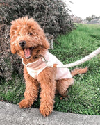 Gooby Fleece Vest Dog Sweater - Peach, Medium - Warm Pullover Fleece Dog Jacket with O-Ring Leash for Small to Medium Dogs