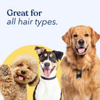 Honest Paws Dog Dry Shampoo - Waterless No Rinse Spray Formula Reducing Itch Cleanse Hydrate Nourish Dry Skin and Smelly Coat Help Decrease Odor Shedding and Allergies - Mandarin & Berry - 8 oz
