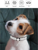 Bling Dog Collar for Small Medium Large Dogs, Crown Rhinestone Dog Collars for Girl and boy Dog, Diamond Puppy Collars, Adjustable Leather Suede SOFE Cat Collar (XS(8.2"-10.6"/21CM-27CM), Rose Red)
