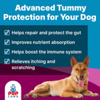 K9 Belly Bliss, All-Natural Gut Health for Dogs, Vet Approved Prebiotic for Dogs for Daily Digestive Support & Dog Constipation Relief, Topper for Dry & Wet Food, 6 Pack with 30 Scoops Each.