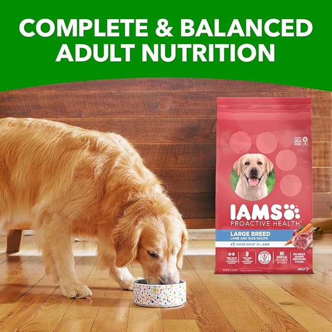 IAMS Proactive Health Large Breed Adult Dry Dog Food Lamb & Rice Recipe, 15 lb. Bag