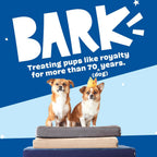 Barkbox Orthopedic Dog Bed with Memory Foam, Premium Comfort for Dogs and Puppies, Dog Bed for Joint Relief and Restful Sleep, Durable and Easy to Clean - Grey, Small