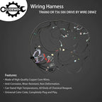 Standalone Wiring Harness 6.2 L, LS Swap, Fits 06-15 LS3 LS2 Vortec Engine | TR6060 T56 58X DBWZ, Stand Alone Wiring Harness, LS Wire Harness, Drive by Wire Throttle Body