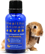 HA4E - Rabbit Gastrointestinal Stasis Treatment - Promotes Healthy Digestion & GI Stasis Relief -Natural Homeopathic Digestive Health Tablets - 300 Count