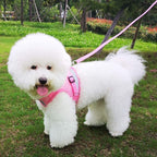 FEimaX Dog Harness and Leash Set for Walking, Soft Mesh Adjustable Easy Control Lightweight Cat Vest Harnesses with Reflective Strips, Escape Proof Small Dogs Cats Vests (Pink, X-Large)