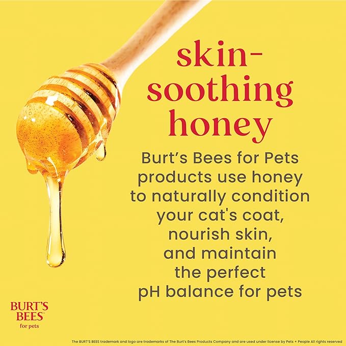Burt's Bees for Pets Cat Dander Remover Wipes, Unscented Soft Grooming Cloths with Colloidal Oat Flour + Aloe, Helps Reduce Flaking Between Baths for Cats & Kittens, 50 Count