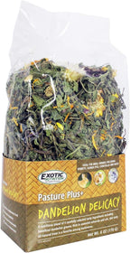 Pasture Plus+ Dandelion Delicacy - Healthy Natural High-Fiber Dried Flower Treat - Squirrels, Guinea Pigs, Rabbits, Chinchillas, Prairie Dogs, Degus, Hamsters, Gerbils & Other Small Pets