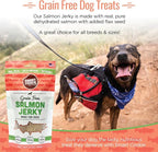 Smart Cookie Salmon Jerky Dog Treats - DHA, Omega Strips for Dogs & Puppies with Allergies, Sensitive Stomachs with Wild Caught Alaskan Salmon- Dehydrated, Grain Free, Made in USA - 3oz Bag, Pack of 3
