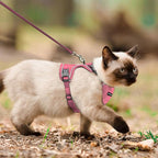 Cat Harness, Cat Harness and Leash Set, Soft and Breathable Vest with Reflective Strip, Anti Escape Adjustable Easy to Wear for Walking and Traveling, Pink, M