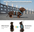 Escape Proof Dog Harness, No Pull Reflective Harness with Lift Handle, Adjustable Pet Vest with Front and Back Leash Clips for Small Medium Large Dogs Walking Hiking Training (Teal,XL)