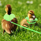 KAMA BRIDAL Duck Walking Harness and Leash Chicken Duck Outdoor Training Rope Adjustable Rope for Pet Poultry Hen Cock (XS, Green)